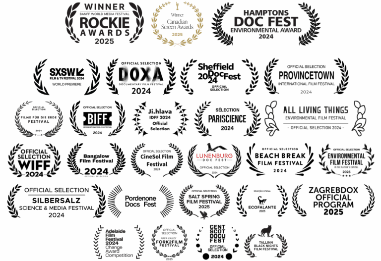 Plastic People Laurels and Awards